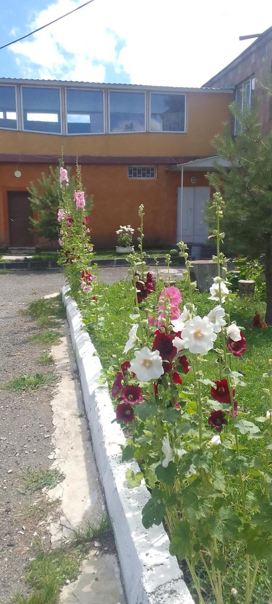 Sevan Garden Complex Екстер'єр фото
